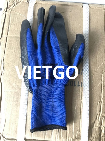 vietgo-xuất-khẩu-găng-tay-Dubai